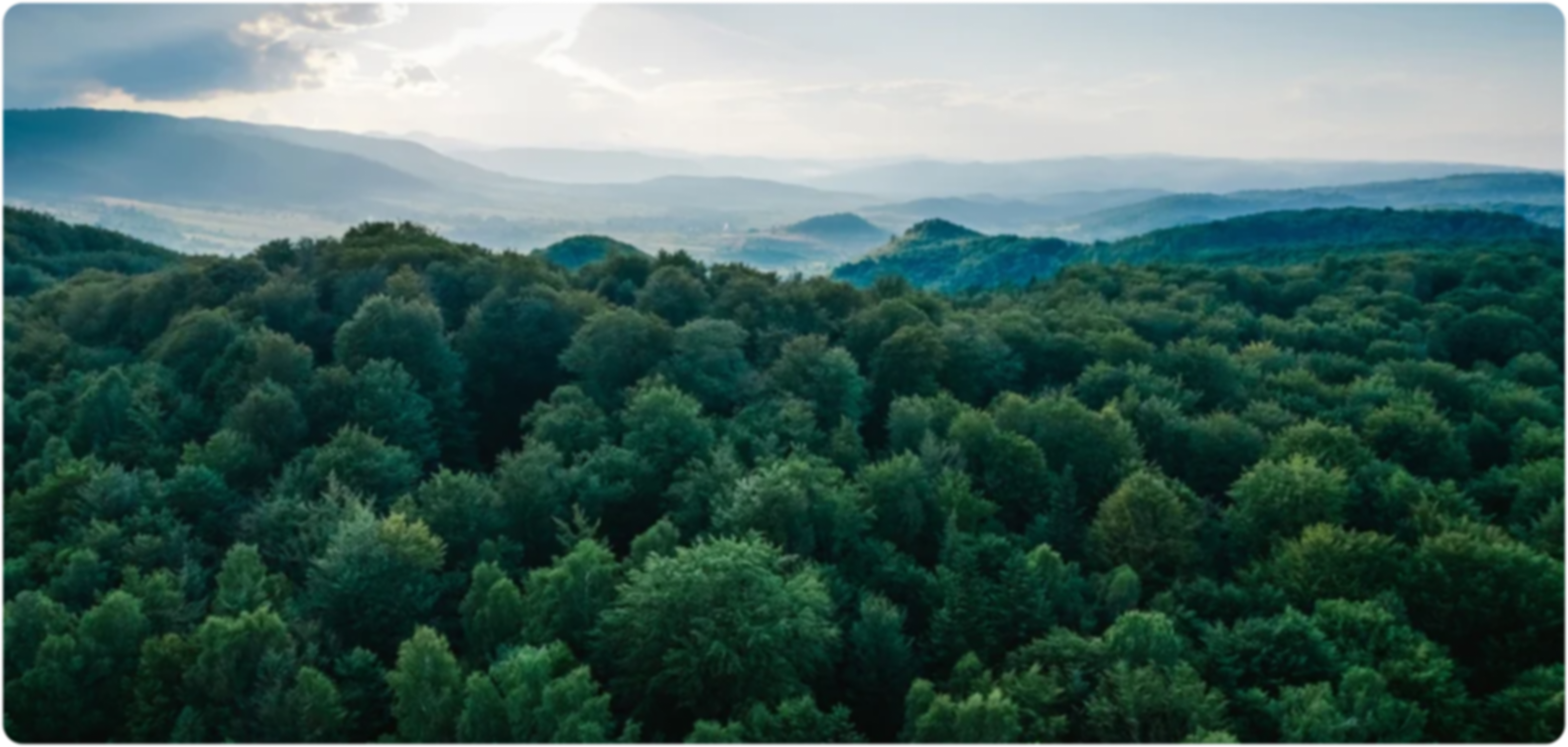 People collaborating